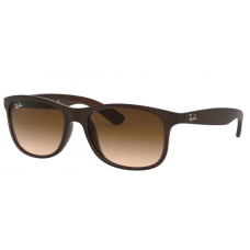 Ray-Ban ANDY 4202 607313